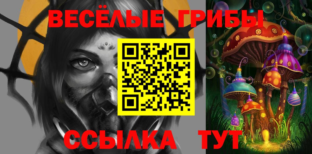 Псилоцибиновые грибы ЛСД  Вход с VPN  Зима  Псилоцибиновые грибы прущие грибы 