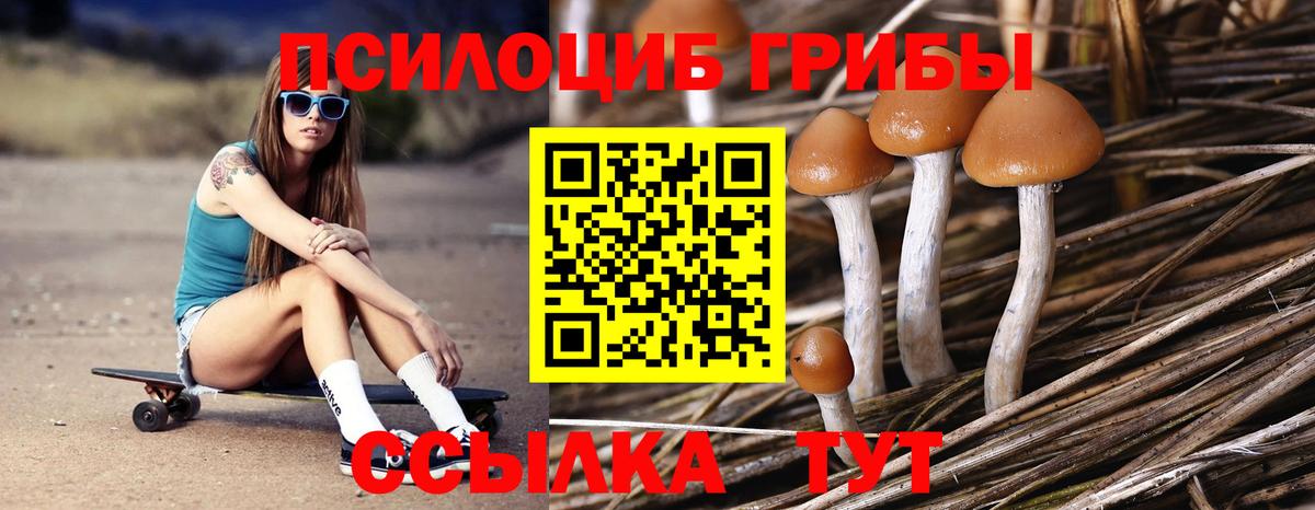 Галлюциногенные грибы Magic Shrooms Зима